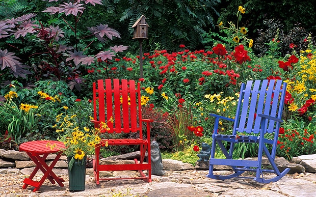 add-some-colour-to-garden